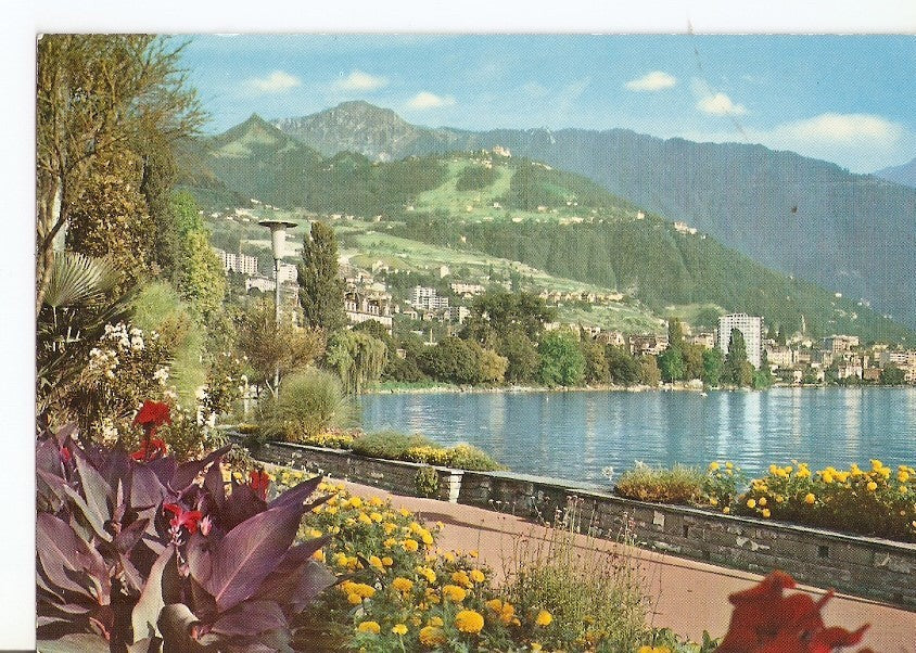 Postal 032235 : Montraux Le Quai et vue sur les Rochers de Naye