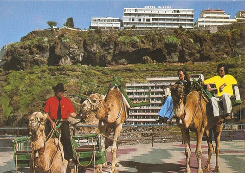 Postal 032255 : Puerto de la Cruz. Camellos y Hotel Ikarus al fondol