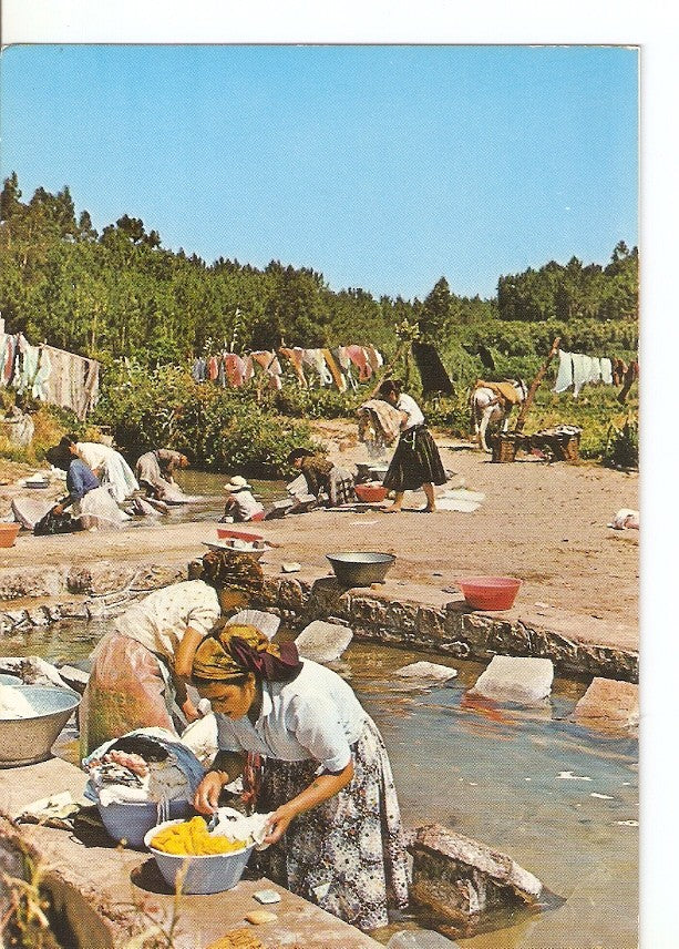 Postal 032313 : Nazare - Portugal. Women washing of Nazare