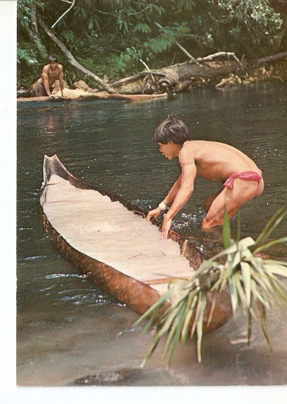 Postal 032320 : Indio Yanoama pescando. Venezuela