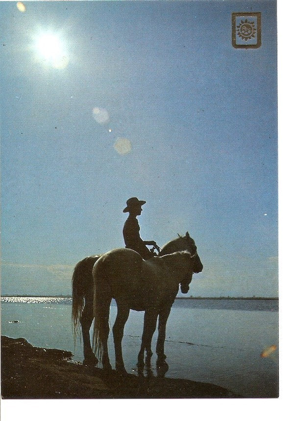 Postal 032641 : Guiando a un caballo