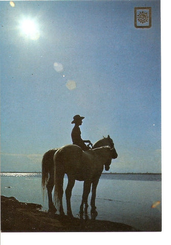 Postal 032641 : Guiando a un caballo
