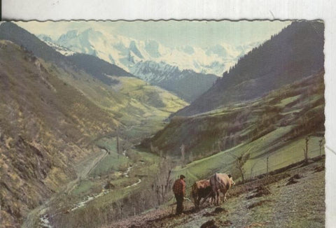 Postal 004610 : Ribera del Rio Negro en Valle de Aran