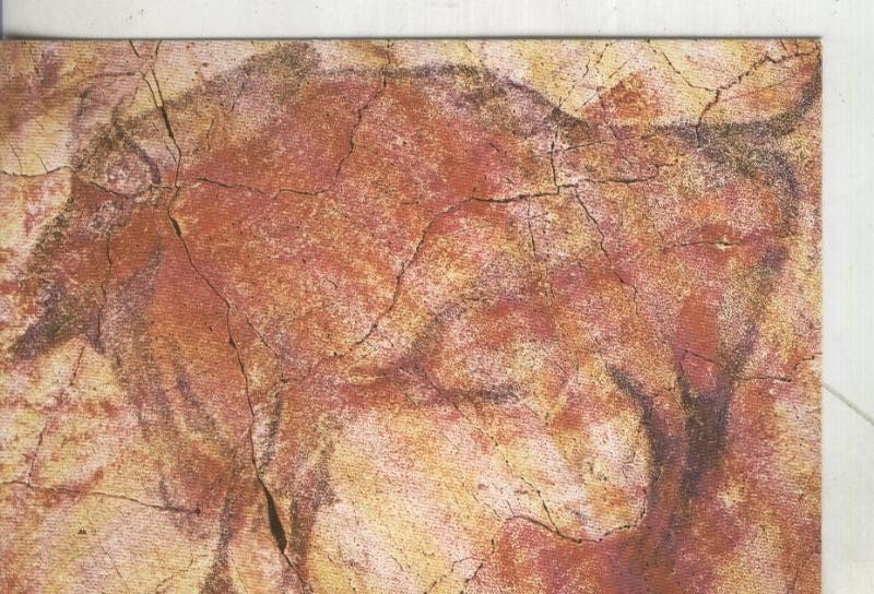 Postal 004011 : Arte Prehistorico: Pinturas de Altamira
