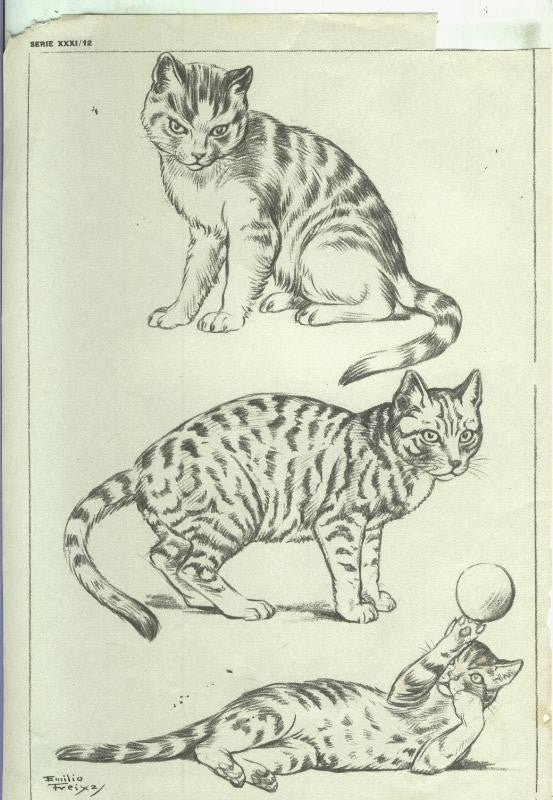Lamina Emilio Freixas serie XXXI numero 12: gatos