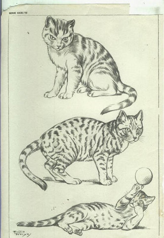 Lamina Emilio Freixas serie XXXI numero 12: gatos
