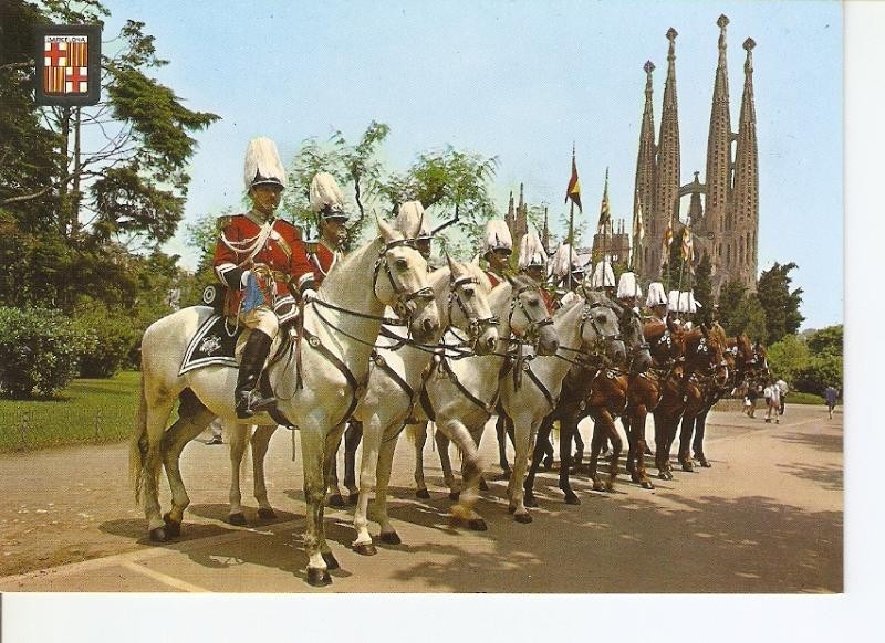 Postal 027795 : Barcelona tipica, Seccion montada de la Policia Municipal  