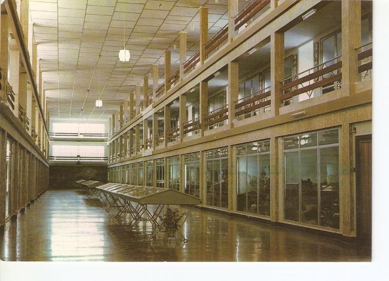Postal 024954 : Museo Nacional de Ciencias Naturales.  