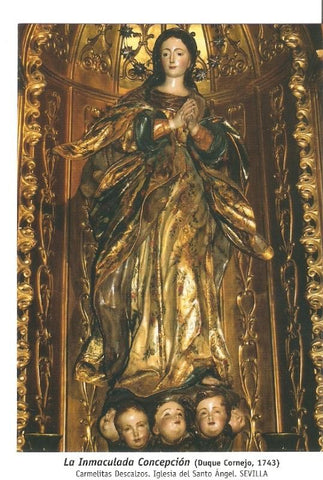 Postal 029907 : La Inmaculada Concepcion (Duque Cornejo 1743)  