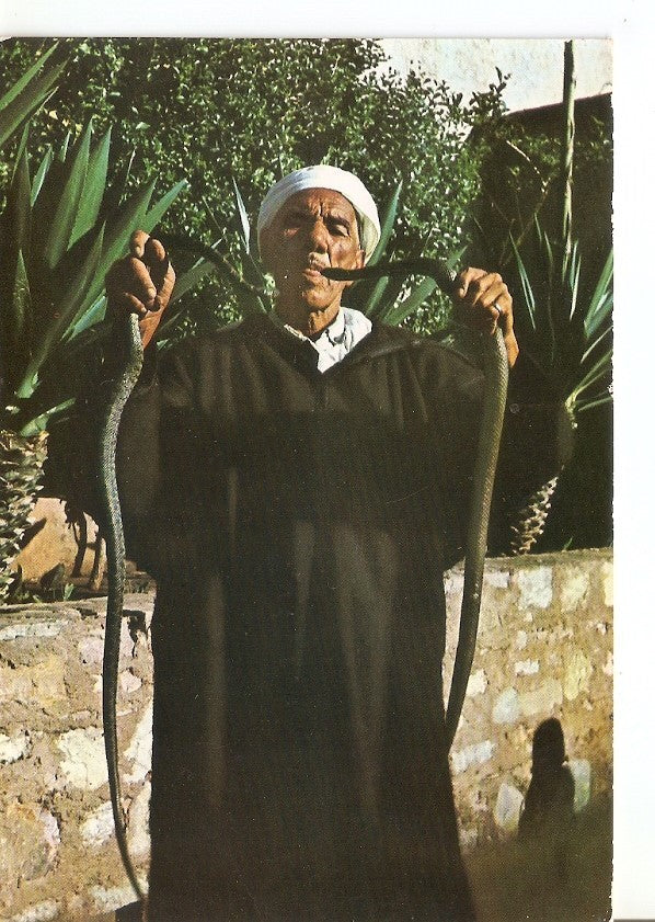 Postal 032654 : Marruecos tipico Encantador de serpientes