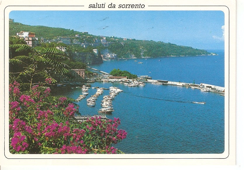 Postal 032696 : Sorrento. The harbour and general view