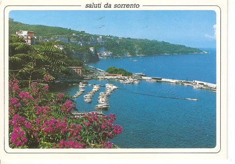 Postal 032696 : Sorrento. The harbour and general view