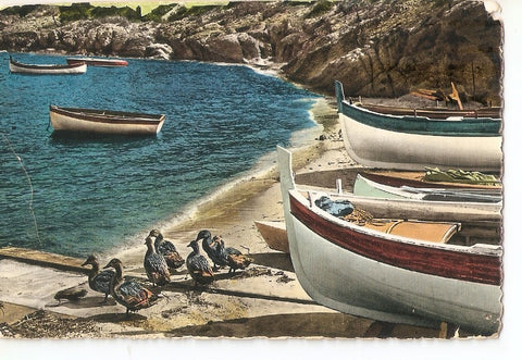 Postal 032698 : Barcas de pesca