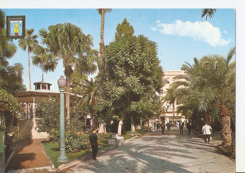 Postal 032849 : Elche. Glorieta de Jose Antonio