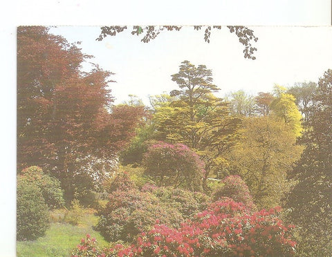 Postal 032935 : Trebah Gardens Cornwall
