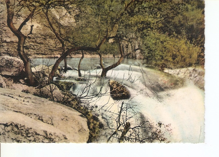 Postal 032950 : Fontaine de Vaucluse. Le Gouffre par hautes eaux.