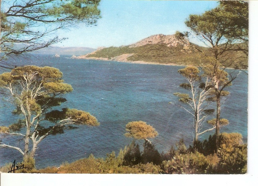 Postal 032962 : La Cote dAzur - Lumiere et Beaute. Ile de Porquerolles Charme Mediterranneen
