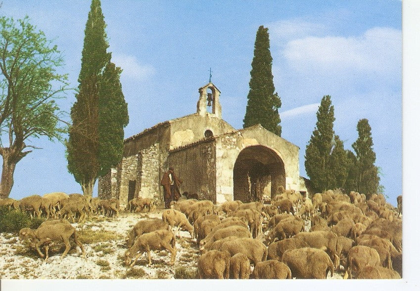 Postal 033004 : En Provence. Symphonie Pastorale