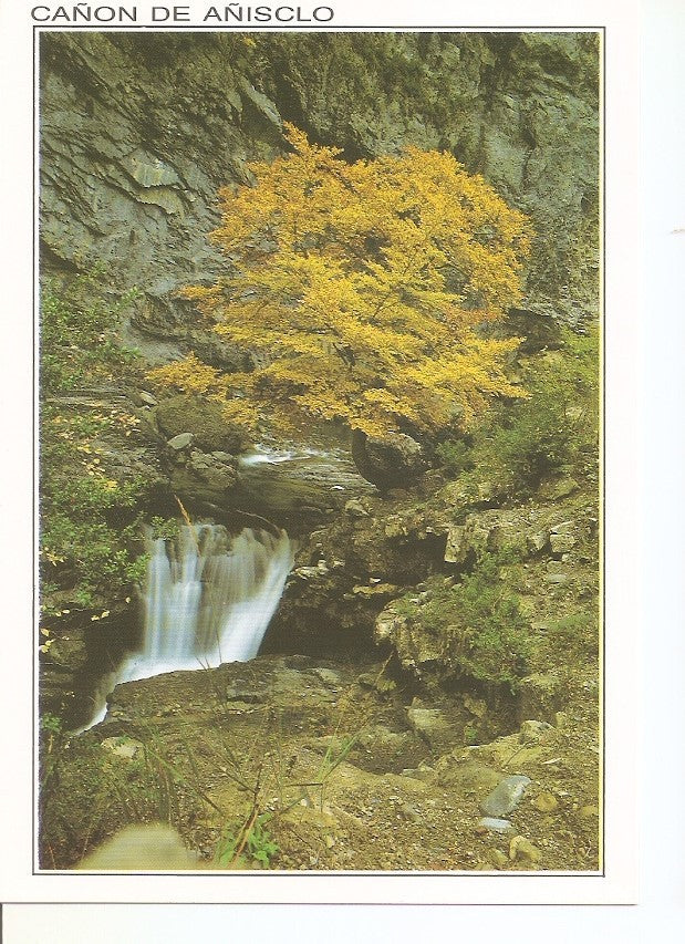 Postal 033026 : Cañon de Añisclo. Parque Nacional de Ordesa y Monte Perdido Pirineo Aragones. Cascada en el rio Vellos (Otoño)