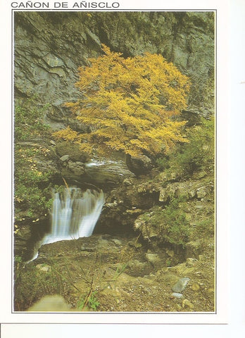 Postal 033026 : Cañon de Añisclo. Parque Nacional de Ordesa y Monte Perdido Pirineo Aragones. Cascada en el rio Vellos (Otoño)