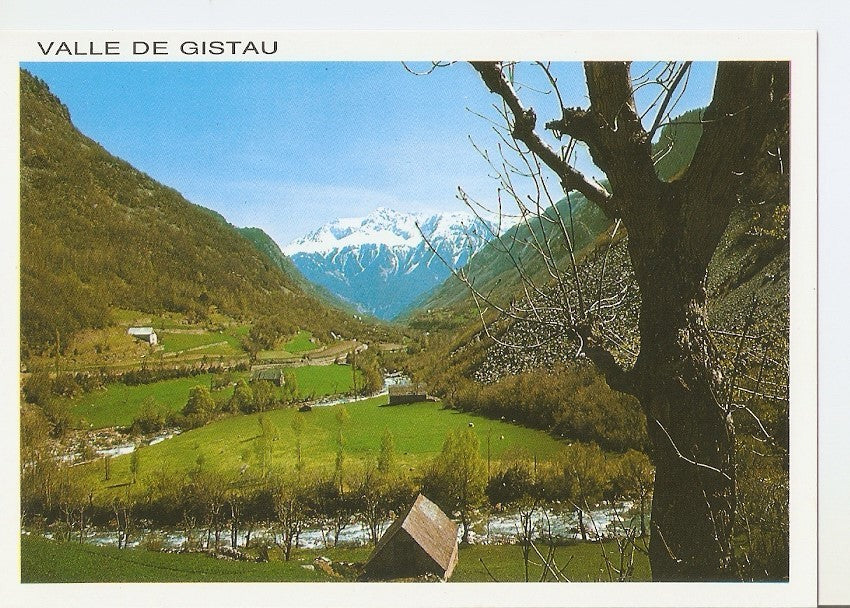 Postal 033050 : Valle de Gistau. El curso alto del Rio Cinqueta al fondo Punta Suelza