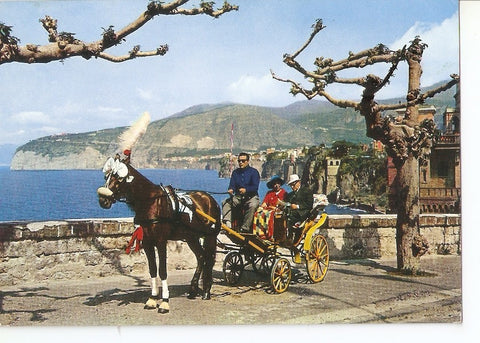 Postal 033063 : Sorrento. Pointe Scutari et le typique fiacre