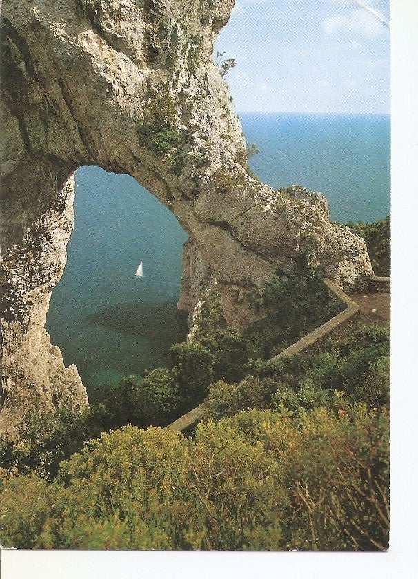 Postal 033083 : Capri. Arc naturel