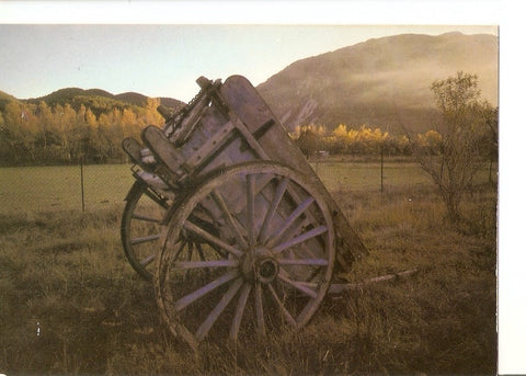 Postal 033164 : La Provence