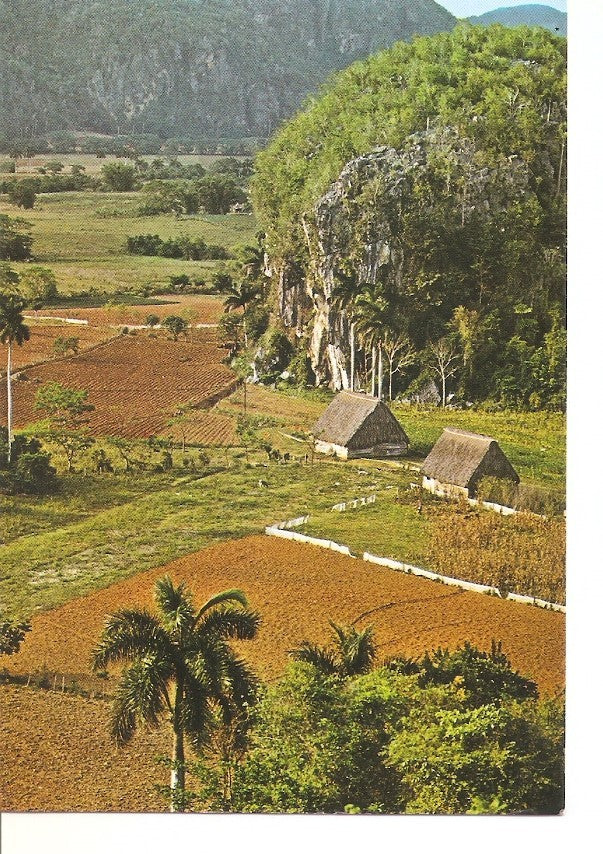 Postal 033173 : Valle de Viñales en Pinar del Rio. Cuba