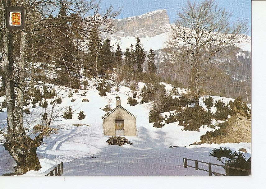 Postal 033192 : Pirineo Aragones (Huesca). Selva de Oza. Al fondo Las Collaretas