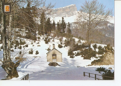 Postal 033192 : Pirineo Aragones (Huesca). Selva de Oza. Al fondo Las Collaretas
