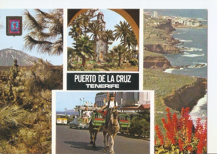Postal 033202 : Tenerife. Puerto de la Cruz. Diversos aspectos de la isla de Tenerife