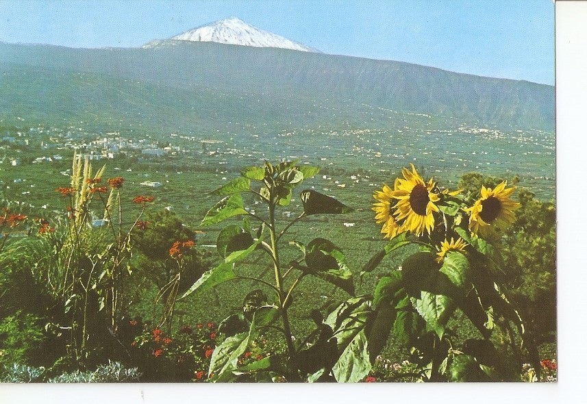 Postal 033212 : Tenerife. Valle de la Orotava y Teide