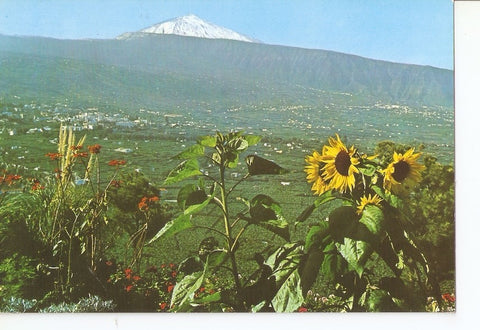 Postal 033212 : Tenerife. Valle de la Orotava y Teide