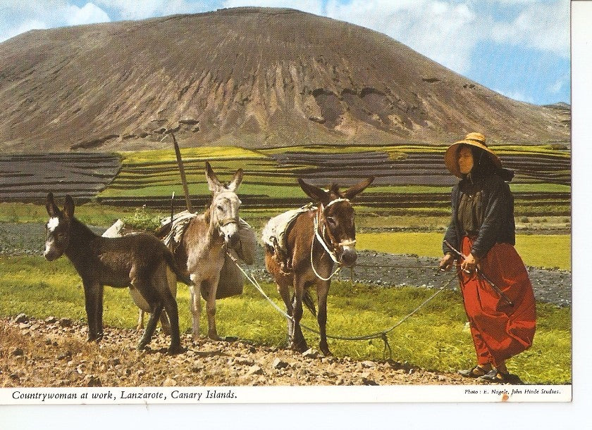 Postal 033221 : Countrywoman at work Lanzarote Canary Islands