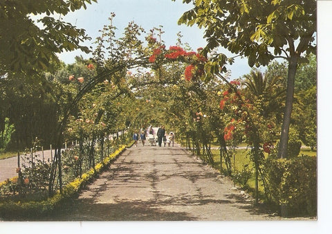 Postal 033242 : Gijon (asturias). Parque de Isabel la Catolica. Rosaleda