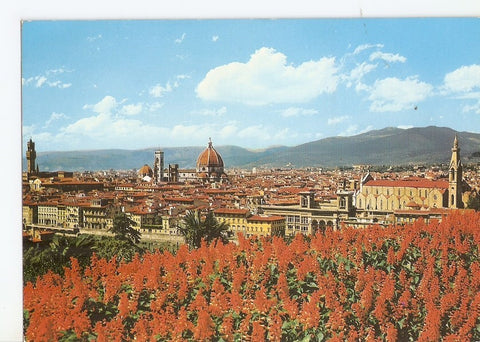 Postal 033336 : Firenze - Panorama. Italia
