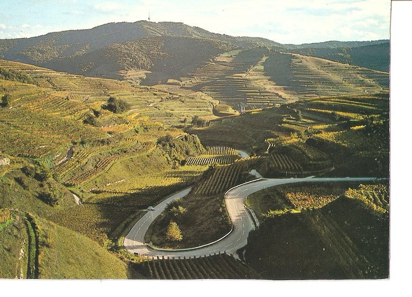 Postal 033402 : Am Kaiserstuhl Weinparadies am Oberrhein