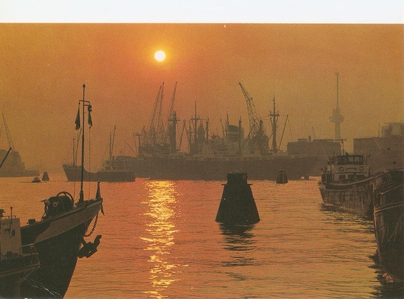 Postal 033435 : Rotterdam / Holland. Rijnhaven