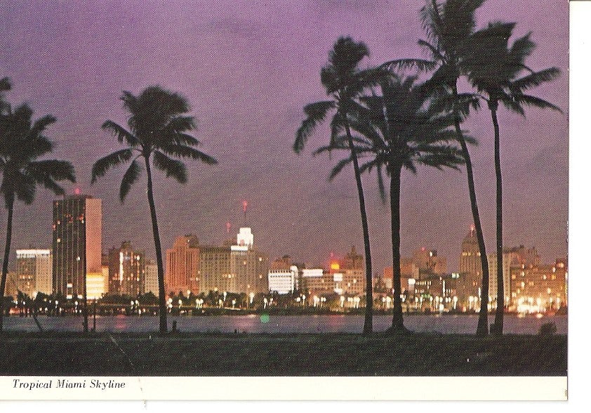Postal 033509 : Tropical Miami Skyline