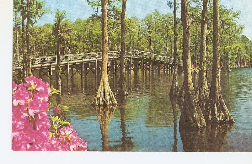 Postal 033514 : Greenfield Gardens Bridge. Wilmington North Carolina