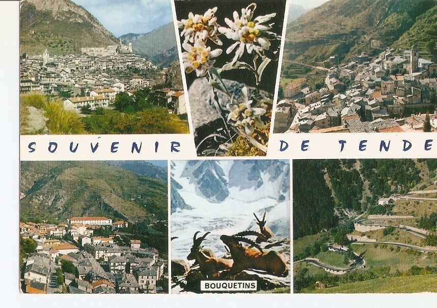 Postal 033644 : Tende (Alpes-Maritimes). Francia
