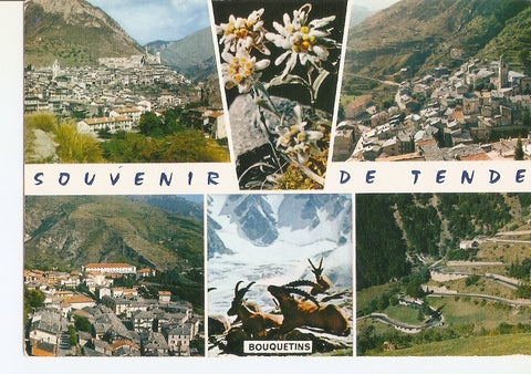 Postal 033644 : Tende (Alpes-Maritimes). Francia
