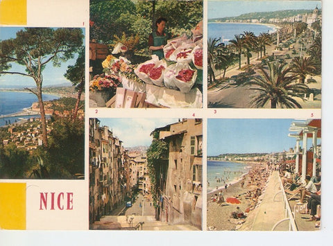 Postal 033649 : La Cote dAzur miracle de la nature Nice (Alpes-Maritimes)