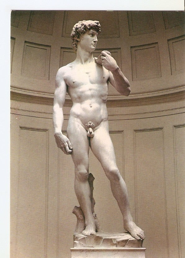 Postal 033696 : Firenze. David del Michelangelo