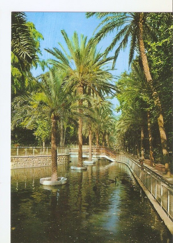 Postal 033813 : Malaga (Costa del Sol). Parque (Lago de los Cisnes)