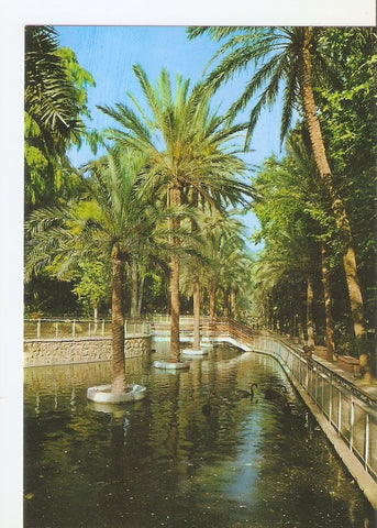 Postal 033813 : Malaga (Costa del Sol). Parque (Lago de los Cisnes)