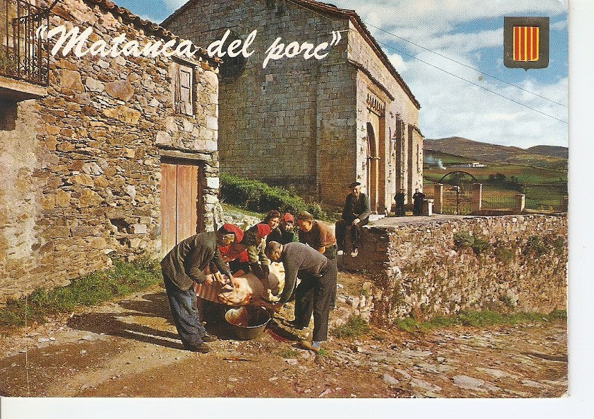Postal 033818 : Catalunya tipica. Matança del porc