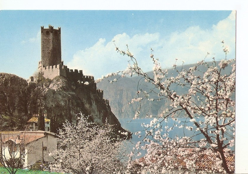 Postal 033855 : Malcesine (Lago di Garda) - primavera. Italia