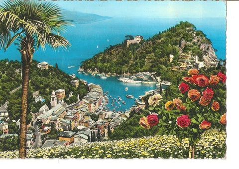 Postal 033877 : Portofino. The peninsula